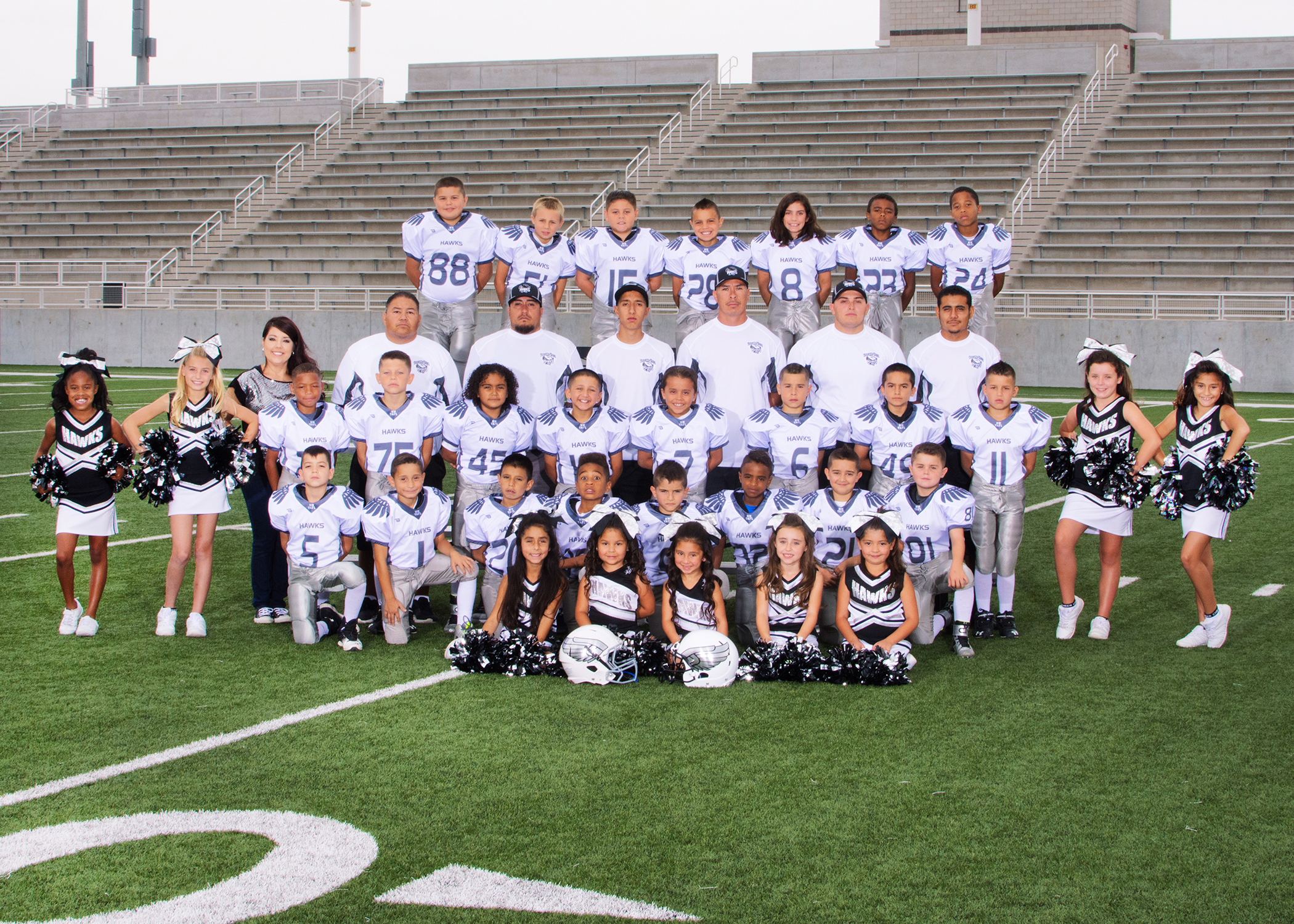2015-Pee-Wees-Volcano-Vista-with-YAC